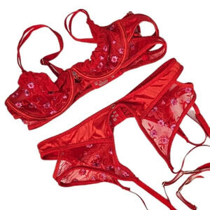 Lounge Katya Intimates Bra / Garter Set  Size 34 A and M Garter Red Embroidered